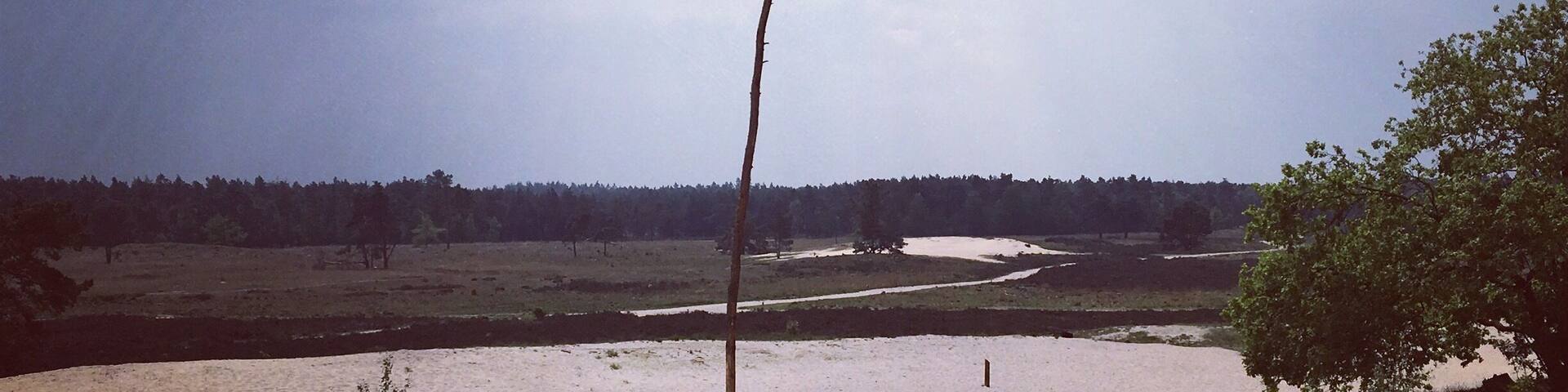 On the side of Waalwijk.