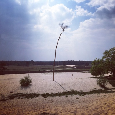 On the side of Waalwijk.