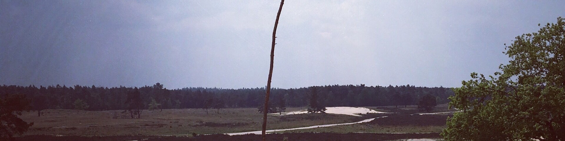 On the side of Waalwijk.