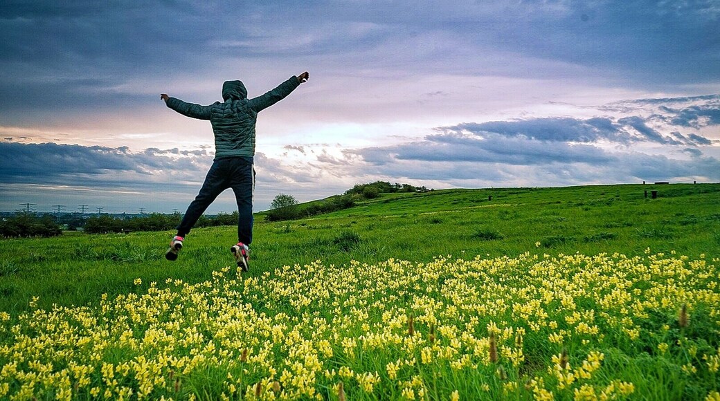 The highest point of Brabant