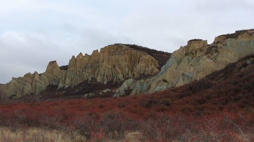 amazing clay cliffs between Omarama and Mount Cook - worth the drive off the main road - lots of different colors of clay and the red fruit in the foreground are on the sweet briar rosehip bushes a plant that was introduced to NZ by the settlers