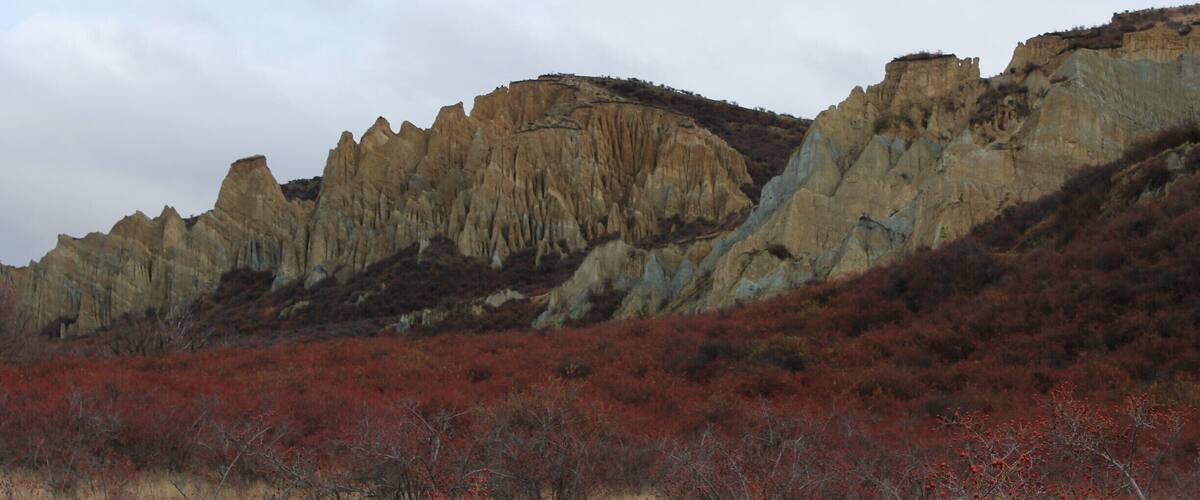 A rugged mountain range with red vegetation in the foreground.
