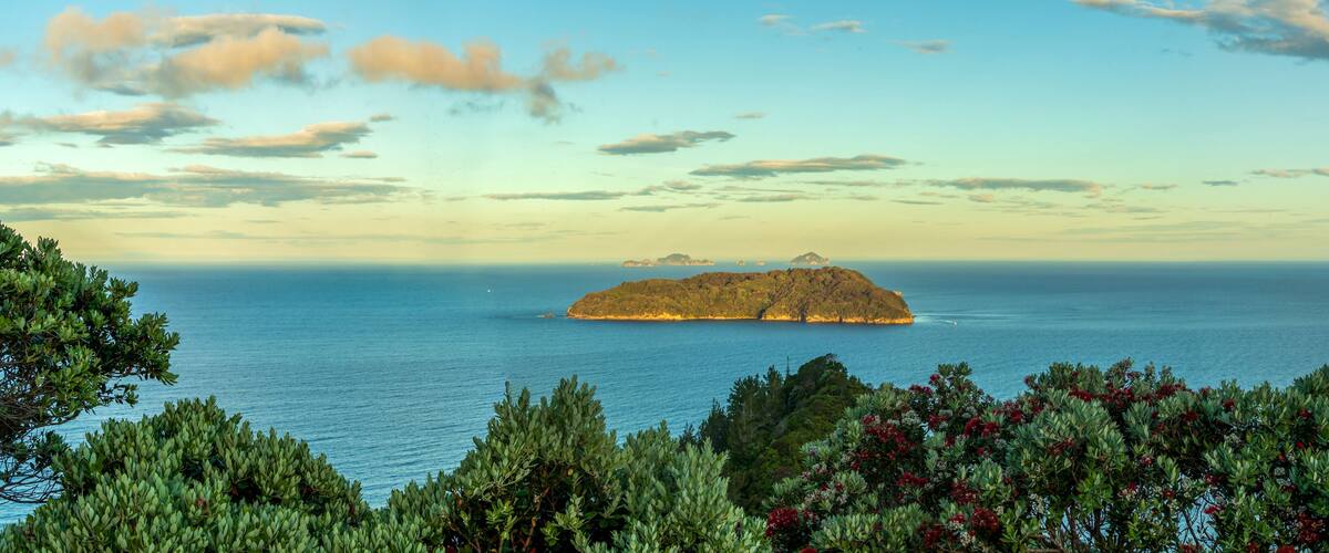 A coastal landscape with a small island surrounded by the sea, dense green foliage in the foreground, and a clear sky with scattered clouds.