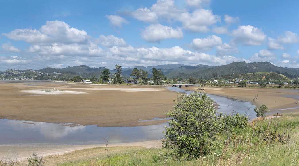bay from north at low tide time, Tairua, New Zealand