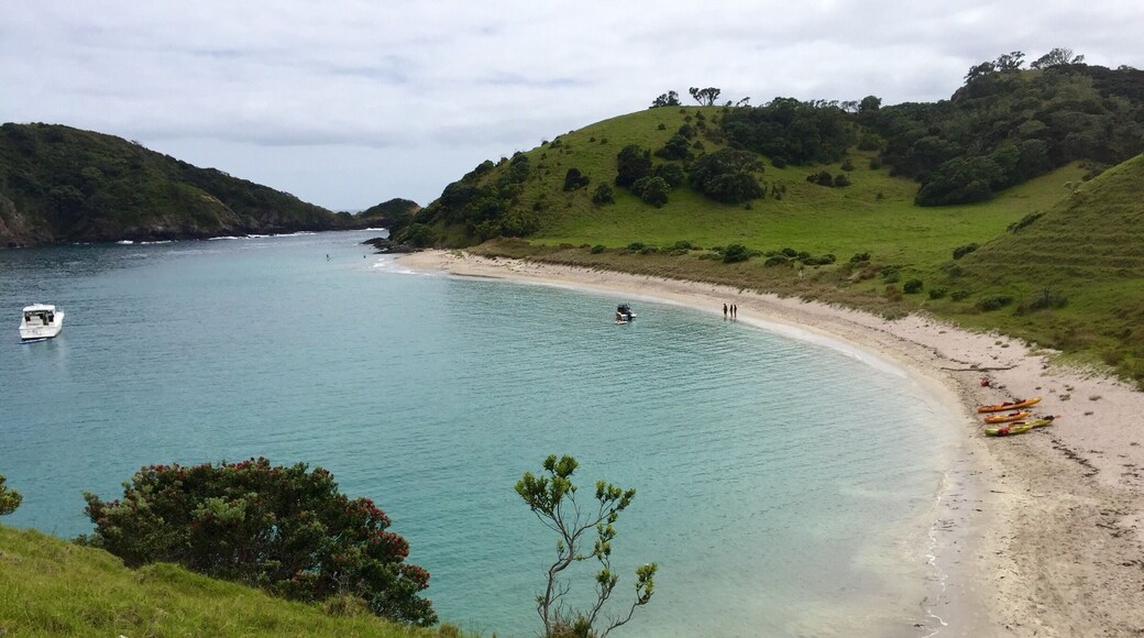 A hike on one of the islands. Beautiful! Got here via the Rock overnight cruise. During the day you snorkel and then hike on one of the islands. The caption chooses different ones depending on mood, and thus was the beautiful one we got to explore. HIGHLY recommend the rock overnight cruise. So much fun!
#blue