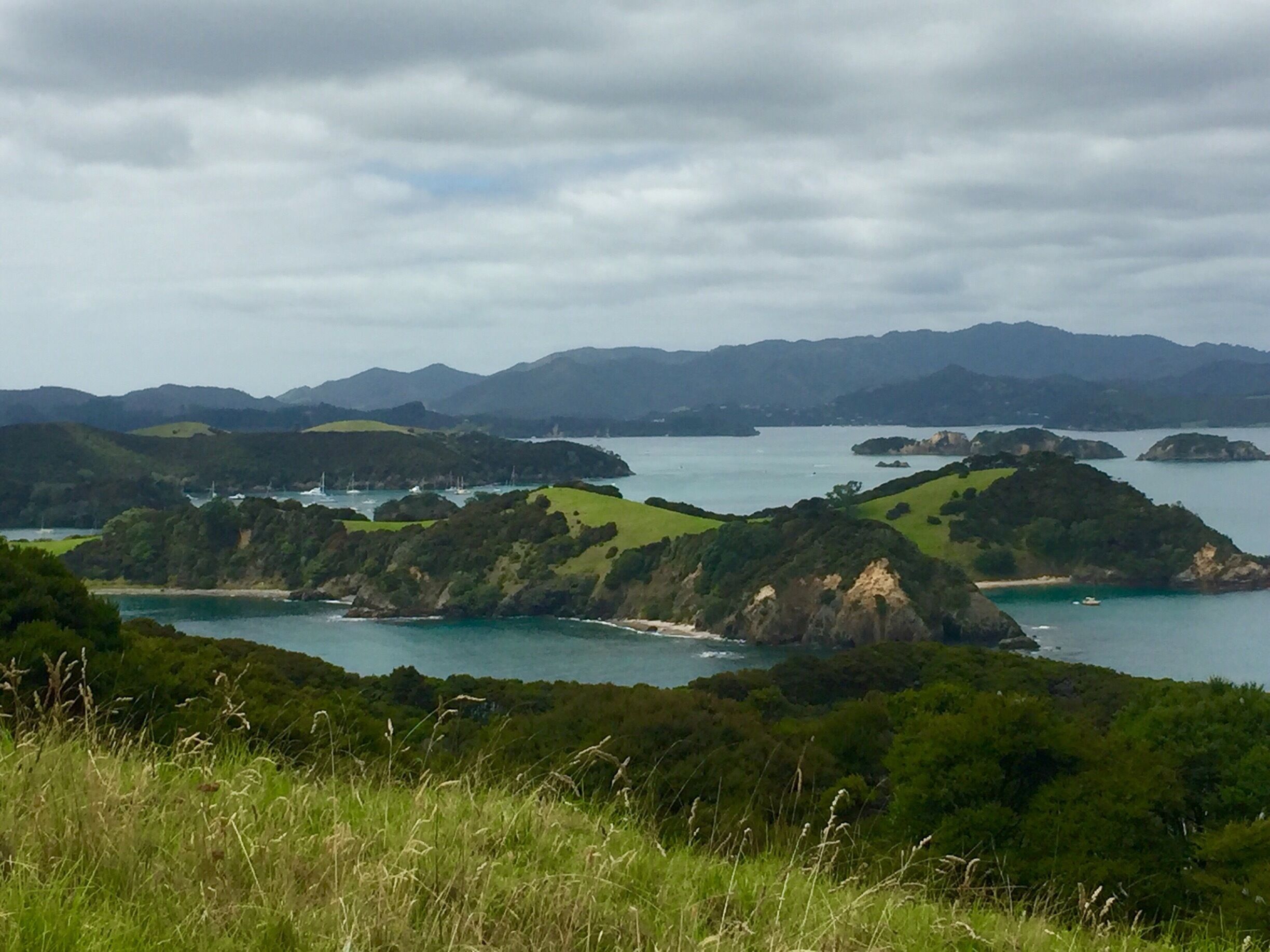 A hike on one of the islands. Beautiful! Got here via the Rock overnight cruise. During the day you snorkel and then hike on one of the islands. The caption chooses different ones depending on mood, and thus was the beautiful one we got to explore. HIGHLY recommend the rock overnight cruise. So much fun! 

#blue