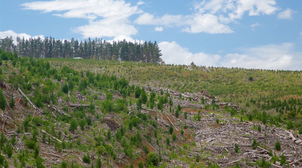 Northland showing landscape views and tranquil scenes