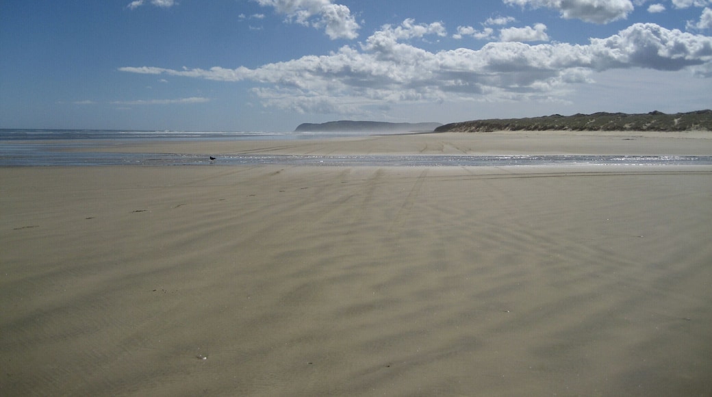 The Ninety mile #beach - very misleading because it's only 55 miles (90 km)