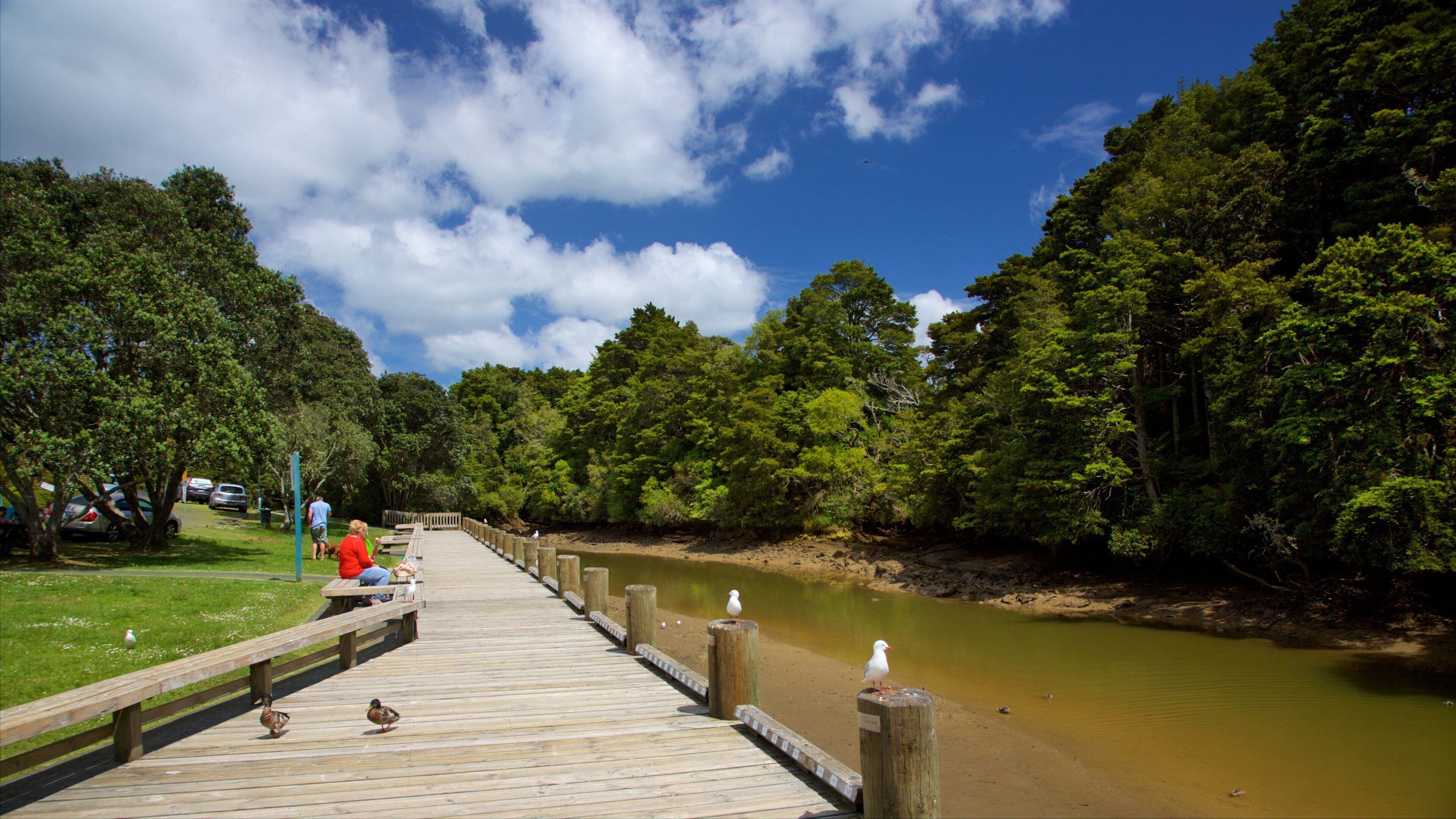 ワークワース フィーチャー 河あるいは小川