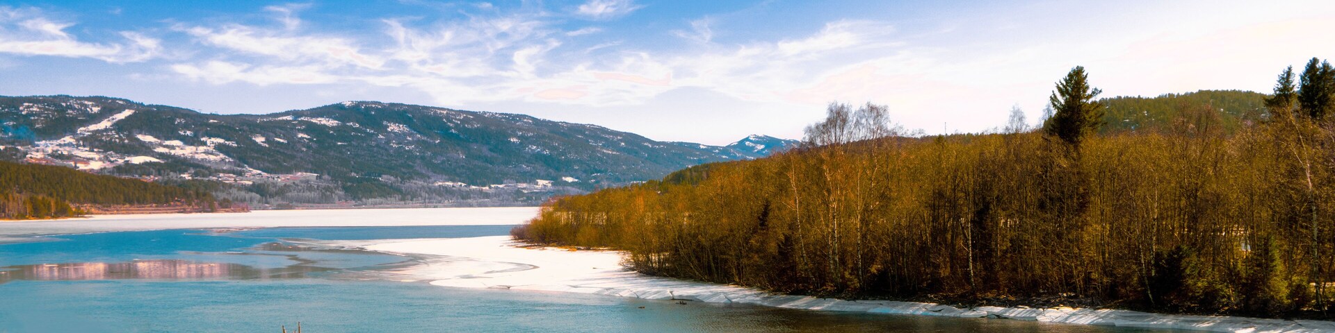 Un lago tranquilo con montañas nevadas al fondo y una orilla bordeada de bosque.