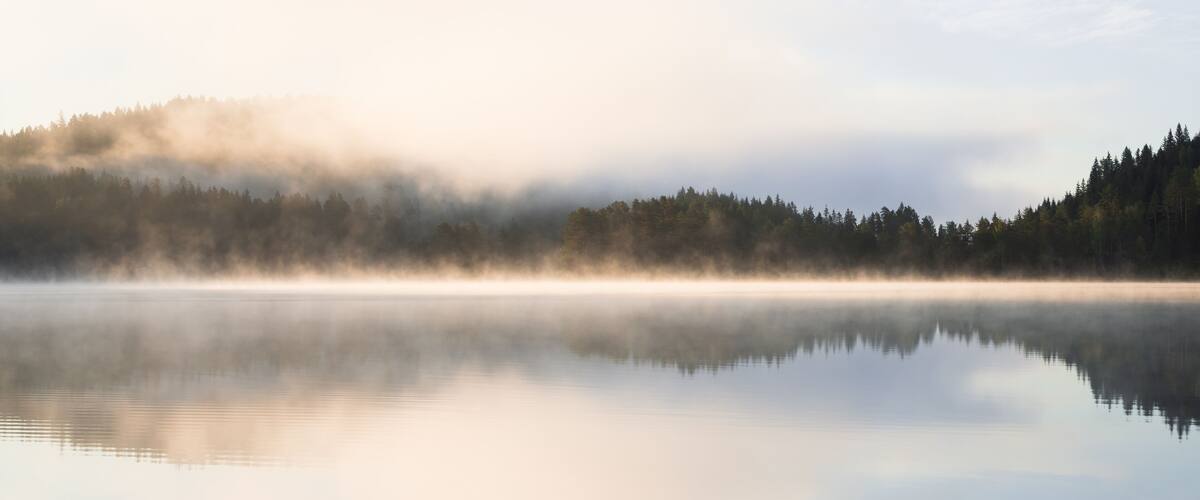 A calm lake with a forested mountain in the background and a misty atmosphere.
