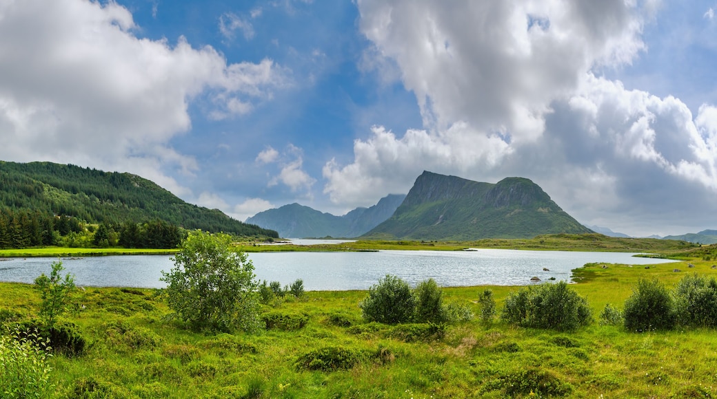 Lofoten fjord summer overcast view