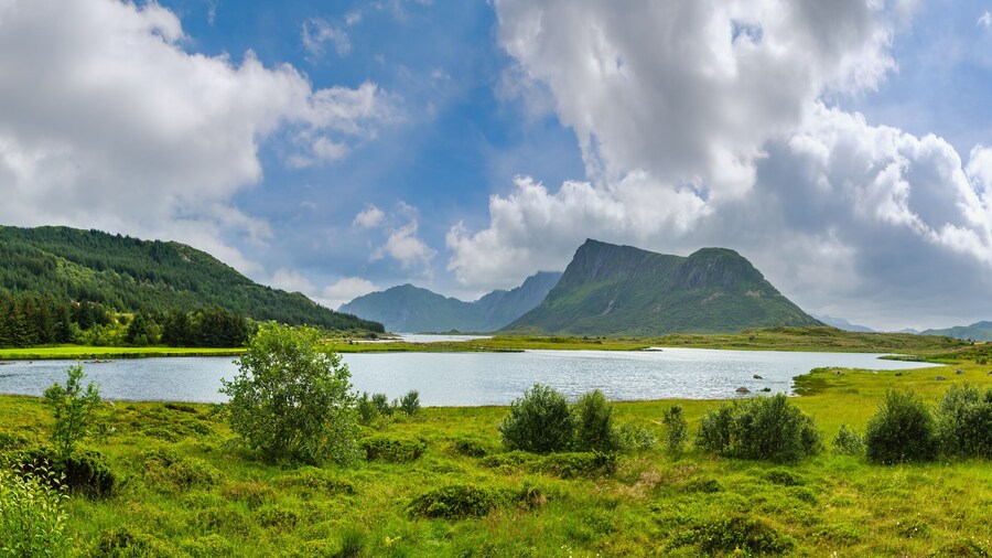 Lofoten fjord summer overcast view