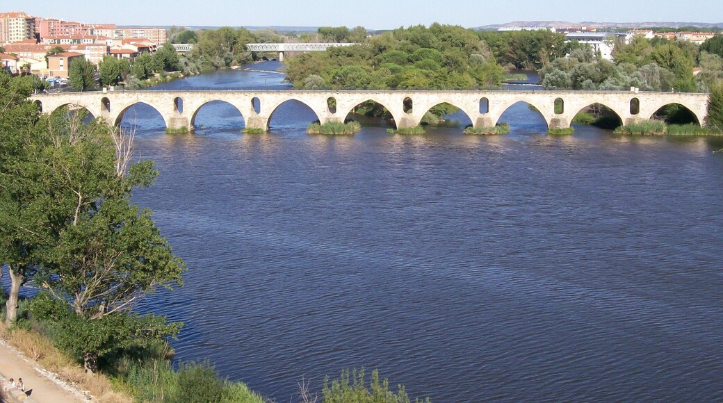 Douro river at Zamora. In this town has been signed the treat that gave Portugal his independence, in 1143.