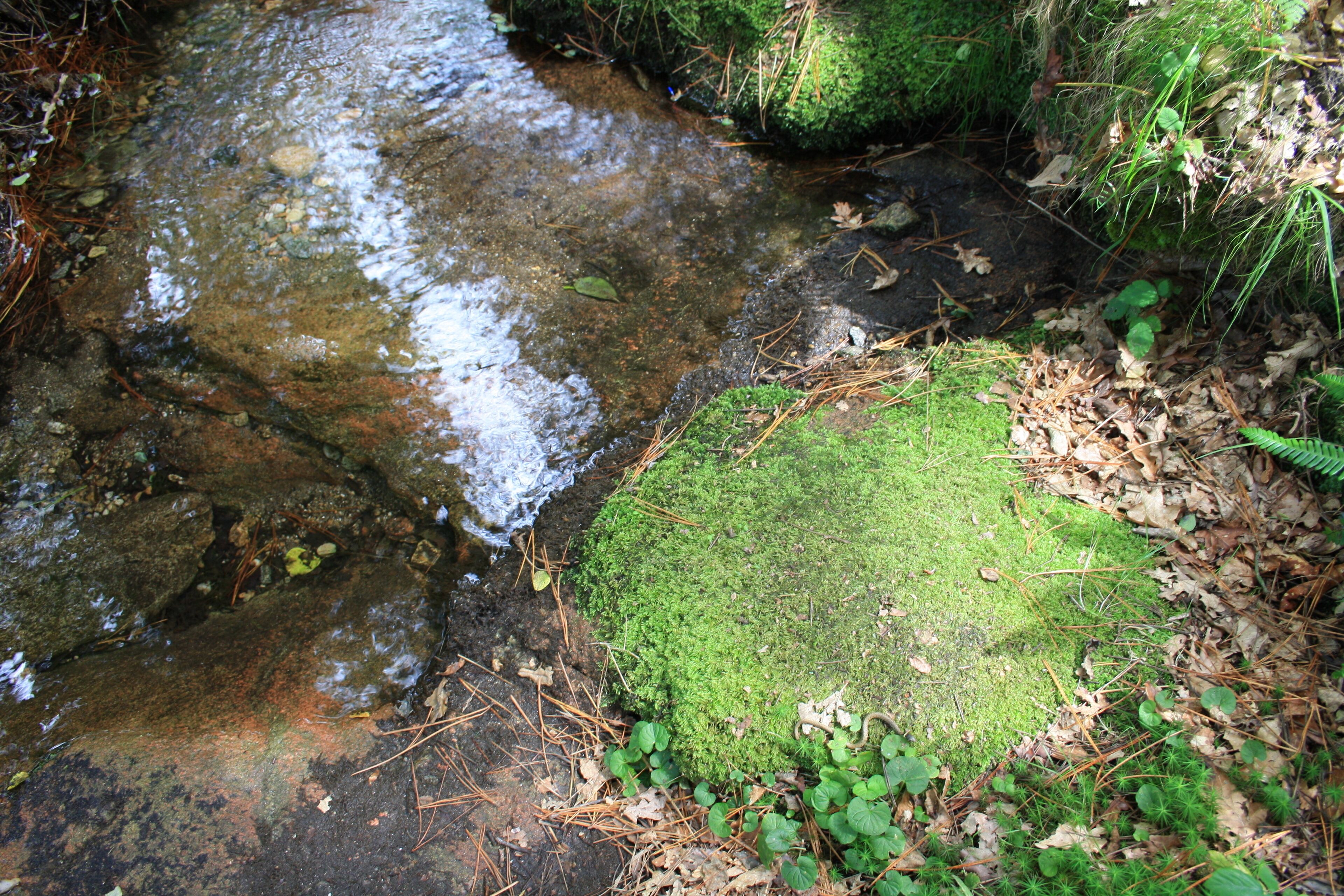 Vilagarcía de Arousa, Pontevedra, Spain