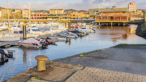 فيلاجارسيا دى أروسا