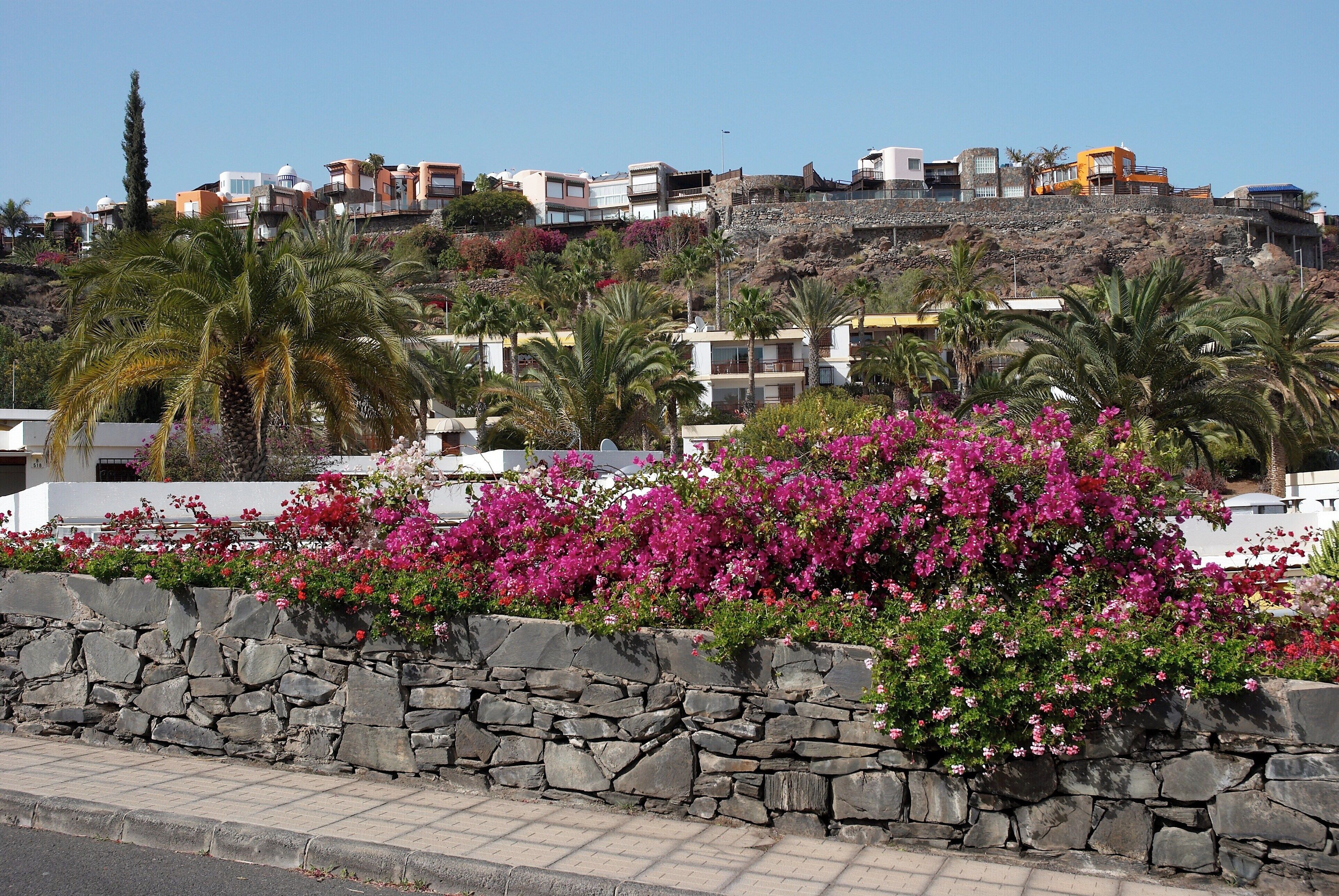 In front the apartments of Rocas Rojas, in the back houses of Residencial Alto de La Gloria