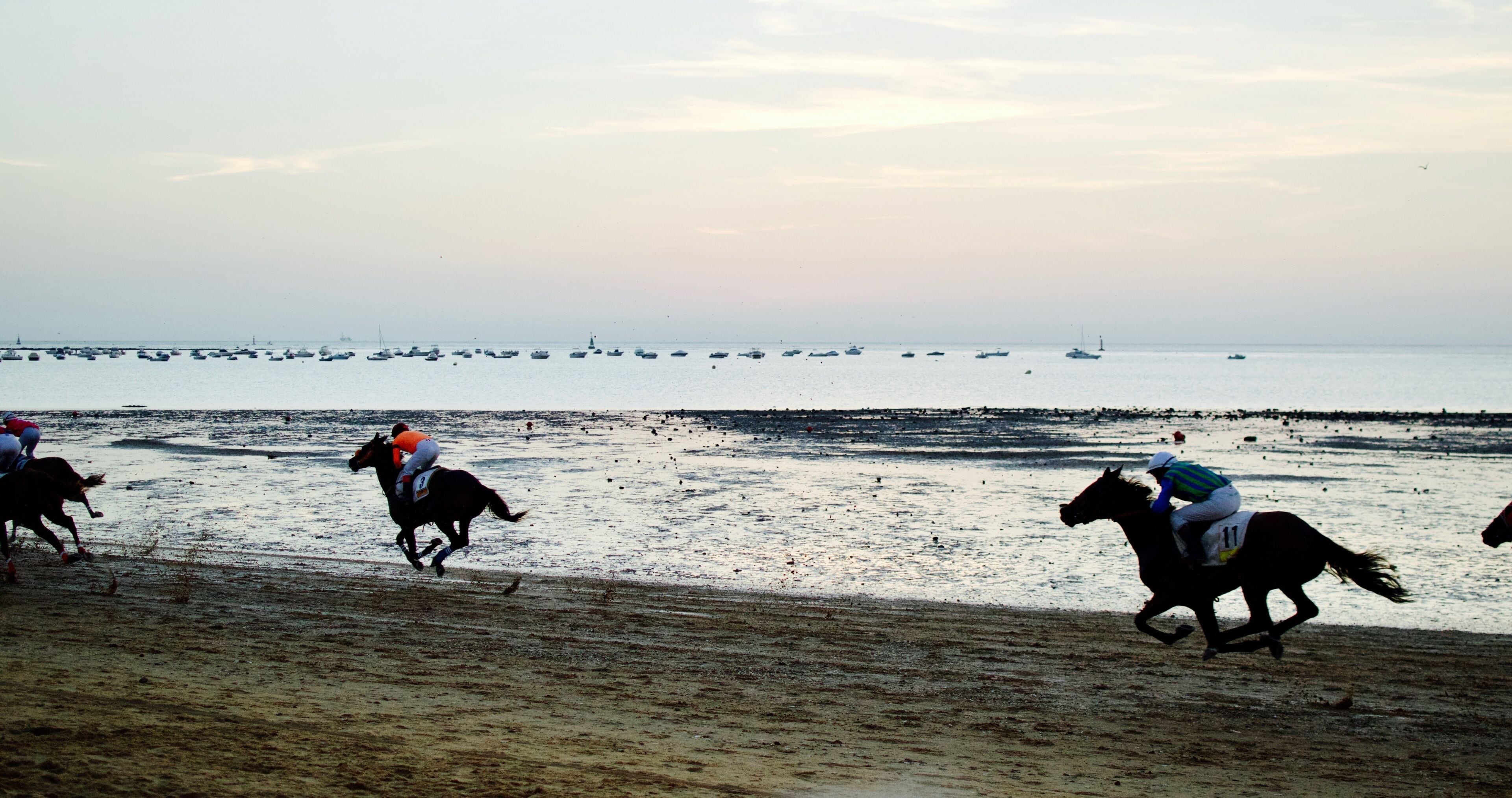 Horse Racing at the beach of Sanlucar de Barrameda, Cadiz