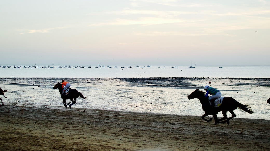 Horse Racing at the beach of Sanlucar de Barrameda, Cadiz