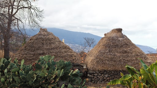 Teneriffa February 2012