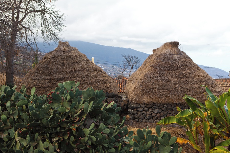 Cabañas tradicionales con techo de paja, cactus y un paisaje montañoso al fondo.