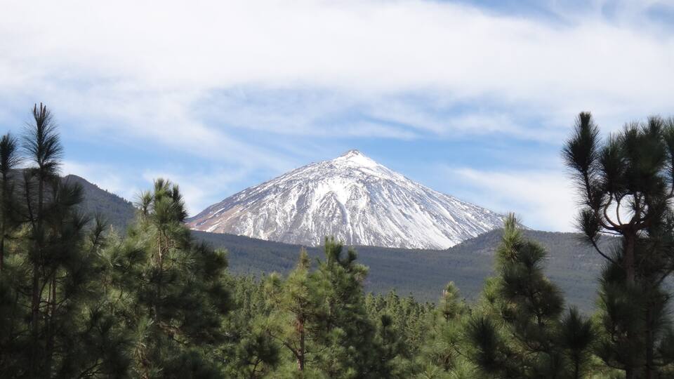 A snow-capped mountain with a forested foreground.
