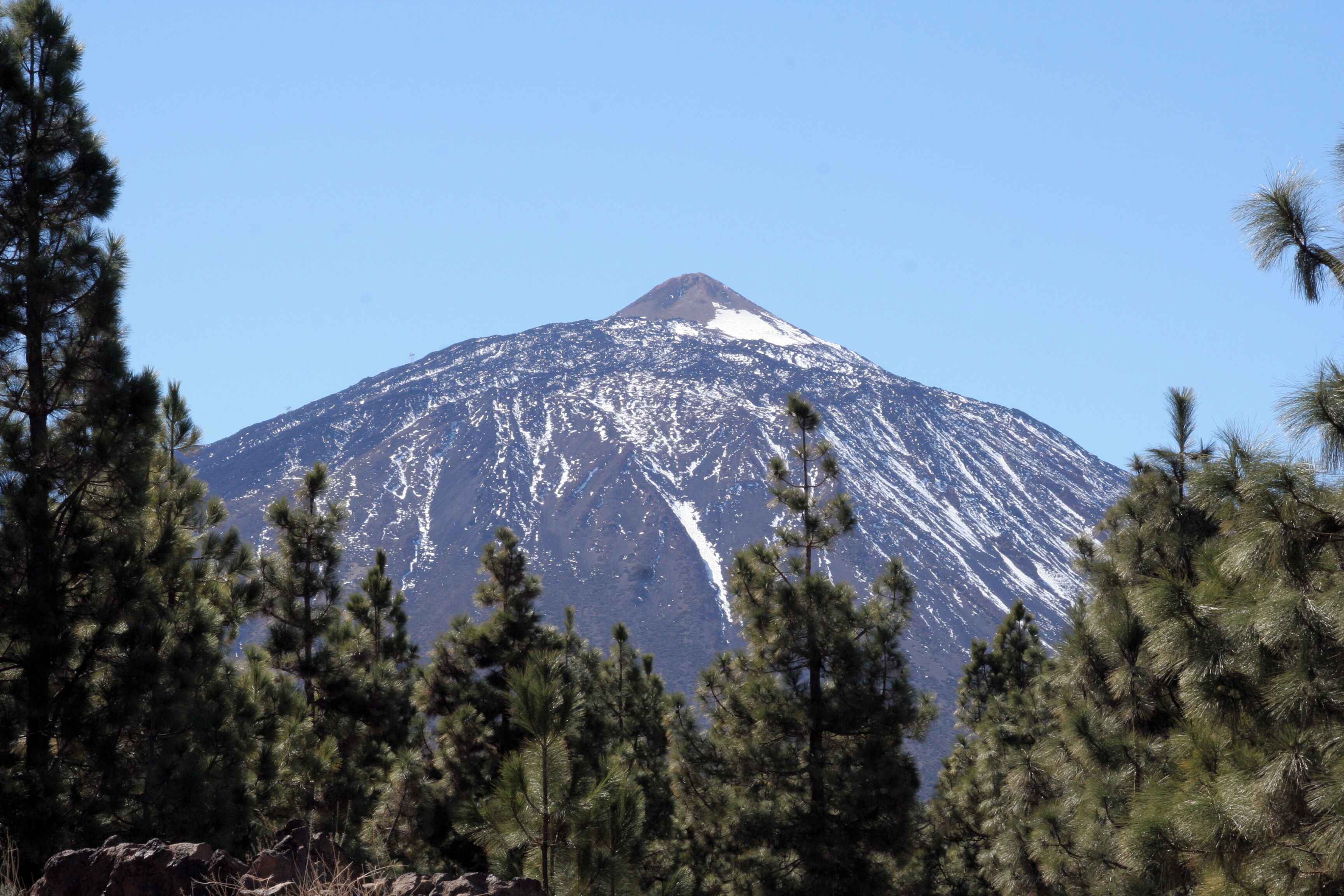 A snow-capped mountain with pine trees in the foreground.