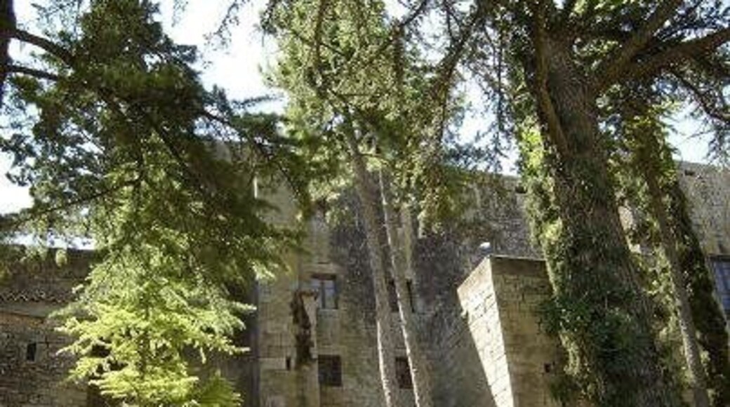 Cara Nord del Castell de Montclar