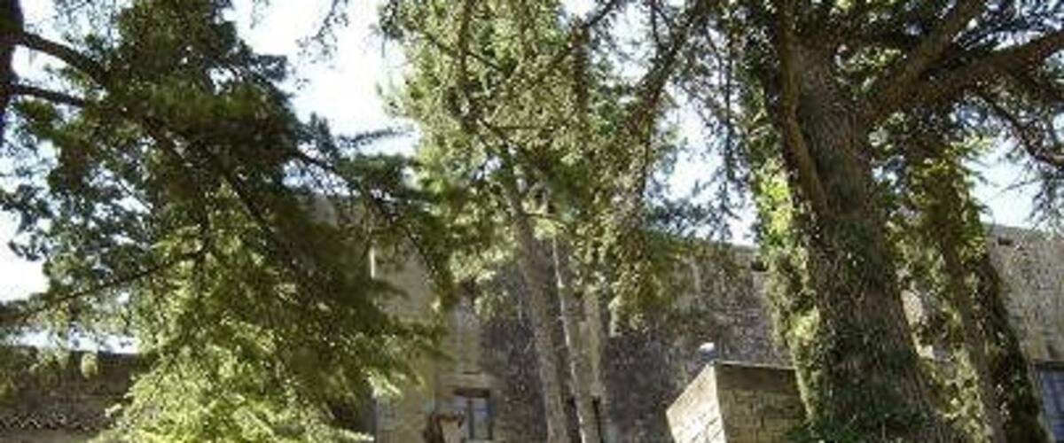 A stone building with a tall tree in front.