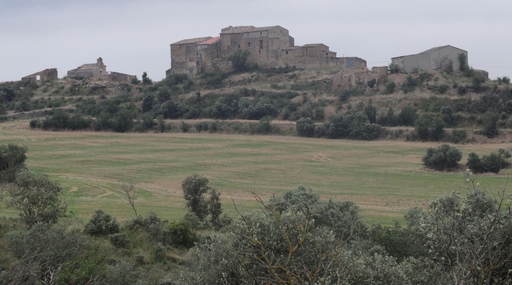 Rocabertรญ de Sant Salvador (terme d'Agramunt) vist des del GR-3