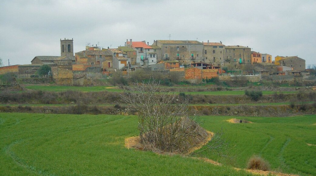 La Donzell d'Urgell, vila closa