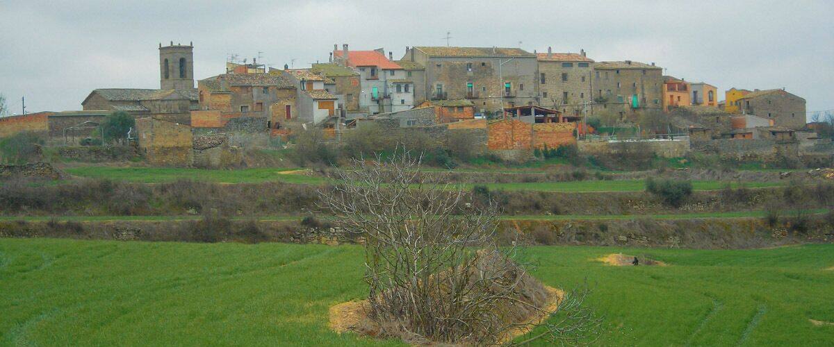 La Donzell d'Urgell, vila closa
