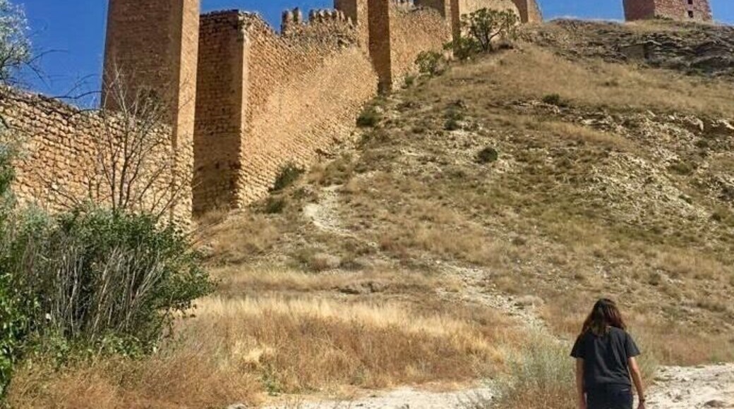 Hike to the top of the castle ruins along the ancient wall to get the best views of the town ...