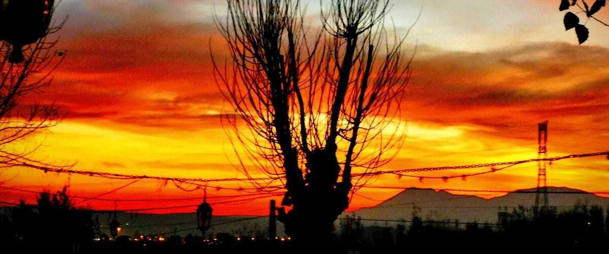 A silhouette of a leafless tree against a sunset sky with a mountain in the background.
