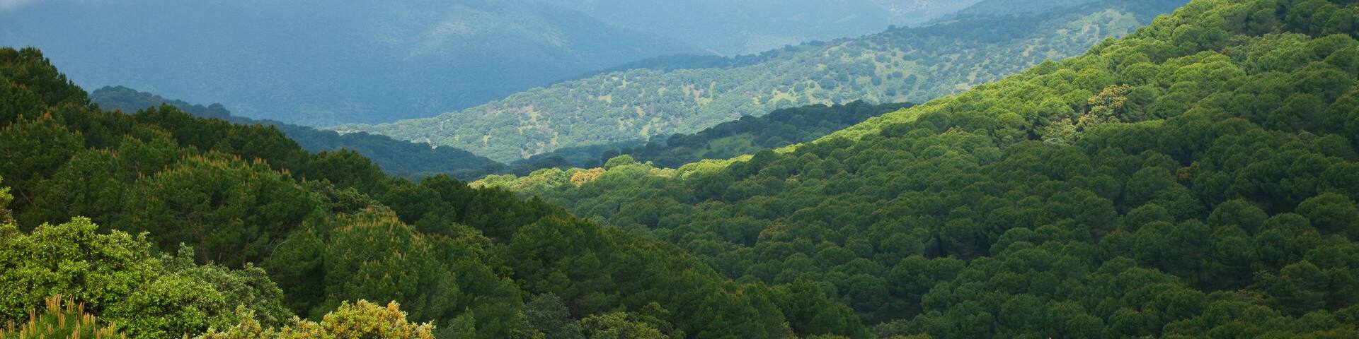 Parque Natural Sierra de Andújar, Jaen, Andalucía, España