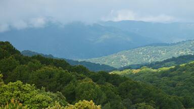 Parque Natural Sierra de Andújar, Jaen, Andalucía, España