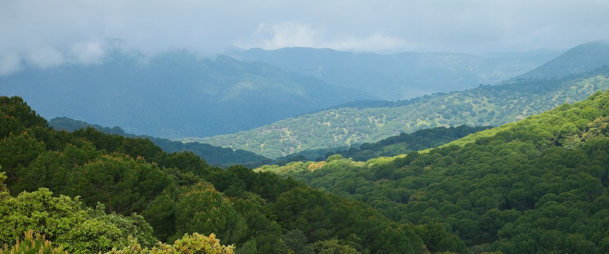 A mountainous landscape with dense forests and a valley.