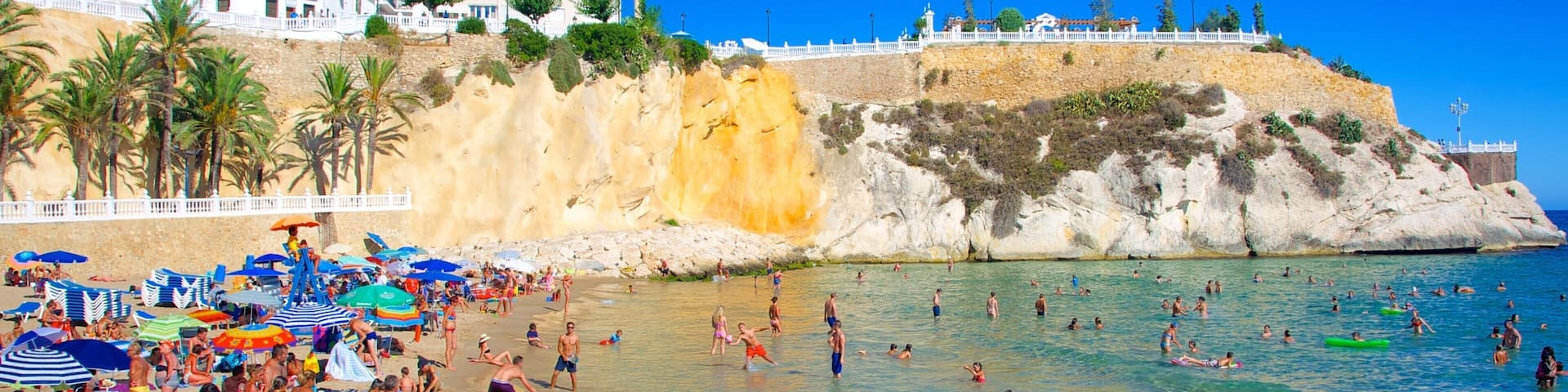 Benidorm showing a coastal town, tropical scenes and swimming