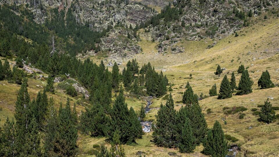 A mountainous landscape with a river flowing through a valley, surrounded by dense forests and rocky terrain.