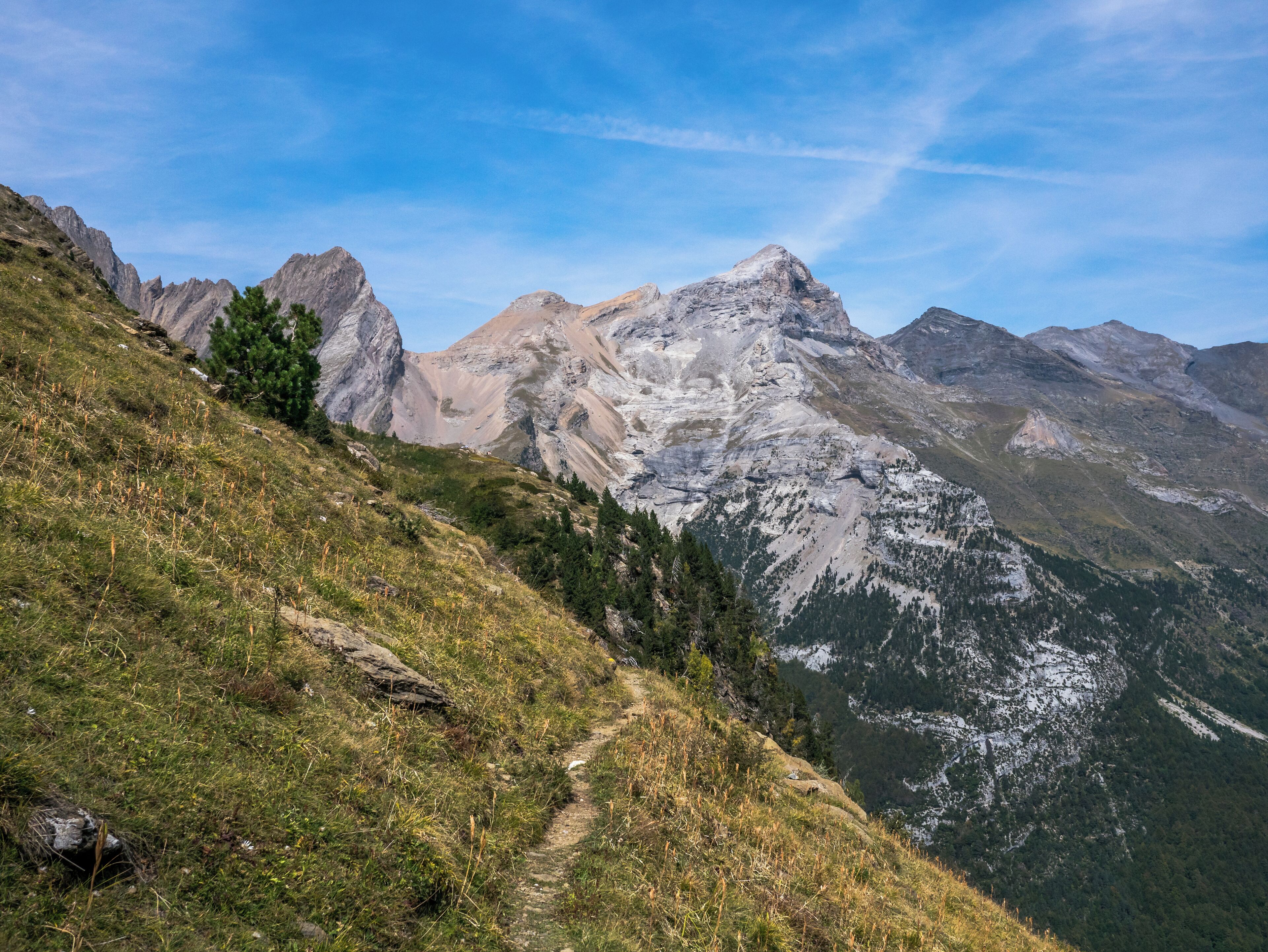 A mountain landscape with a clear sky, rocky peaks, and a grassy trail.