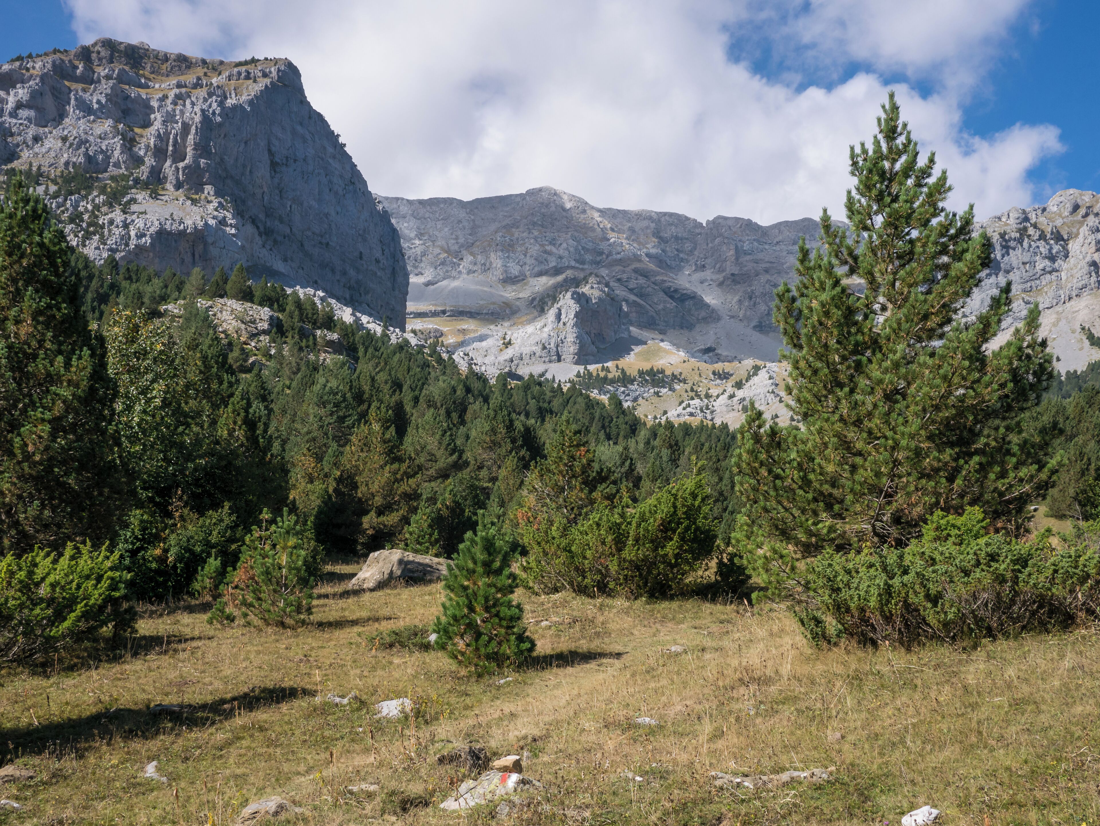 Landscape on the trail to Portillo de Tella en el Valle de Pineta. Sobrarbe, Huesca, Aragon, Spain
