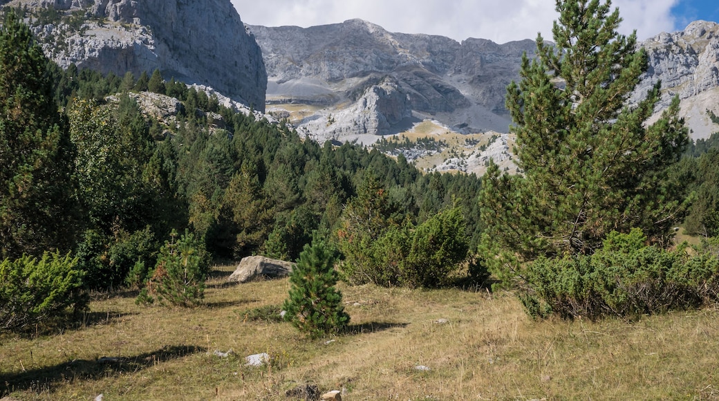 Landscape on the trail to Portillo de Tella en el Valle de Pineta. Sobrarbe, Huesca, Aragon, Spain