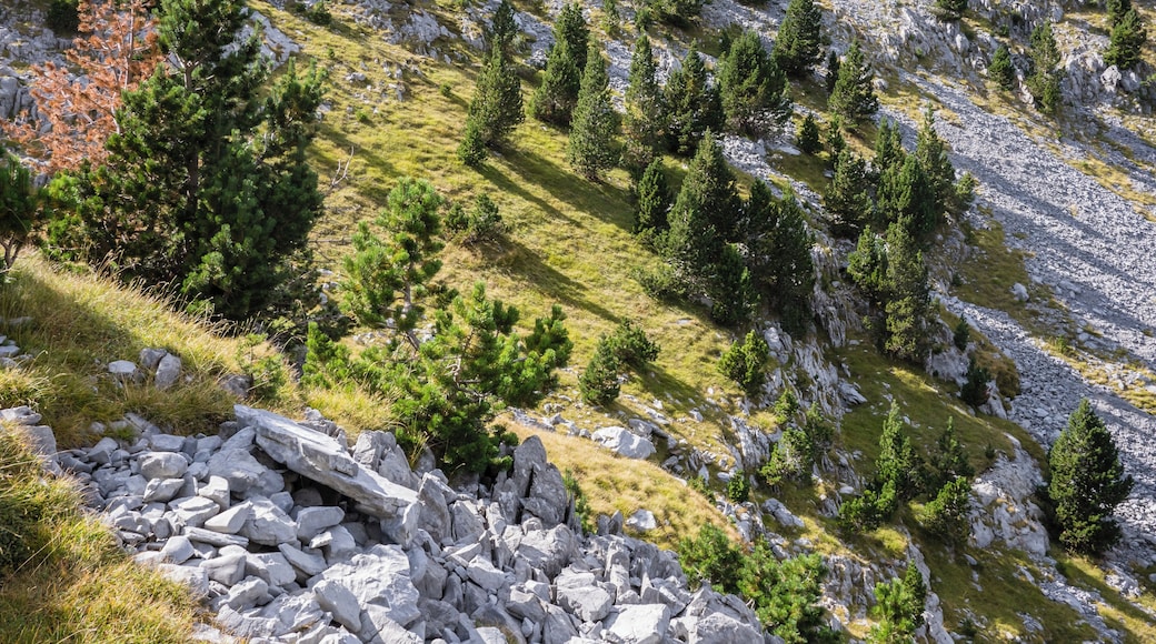Landscape on the trail to Portillo de Tella en el Valle de Pineta. Sobrarbe, Huesca, Aragon, Spain