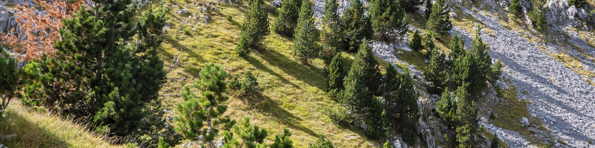 Landscape on the trail to Portillo de Tella en el Valle de Pineta. Sobrarbe, Huesca, Aragon, Spain