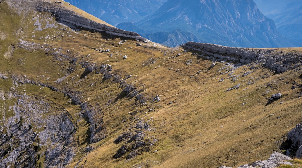 Portillo de Tella mountain pass (2089 m). Sobrarbe, Huesca, Aragon, Spain