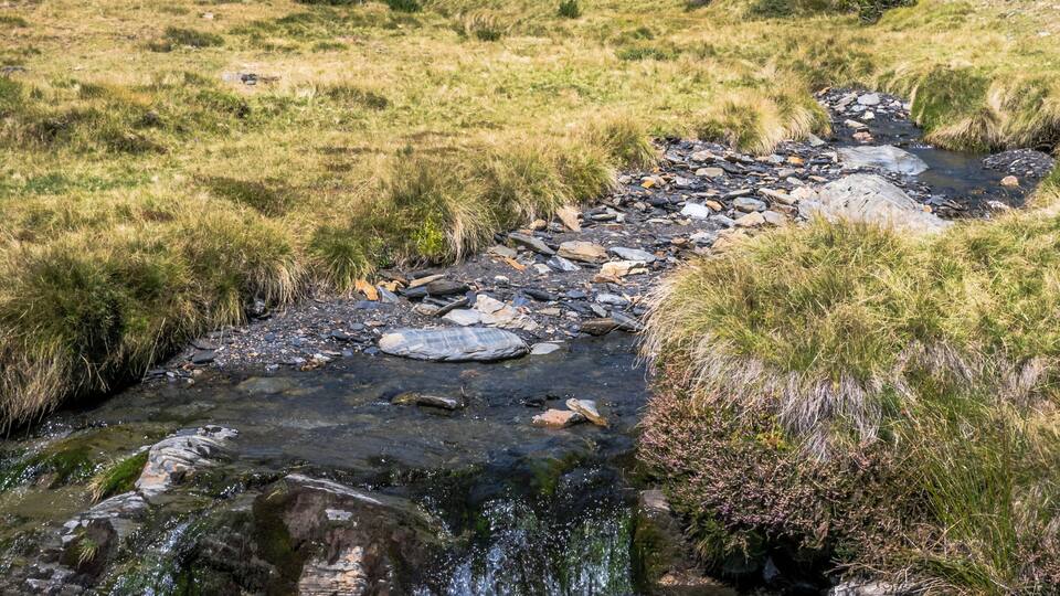 A mountain stream with rocks and sparse vegetation.