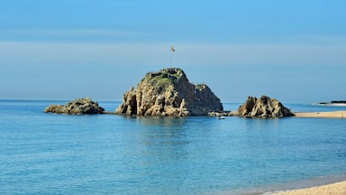 Una isla rocosa con una bandera en el centro, rodeada de aguas azules tranquilas y un cielo despejado.