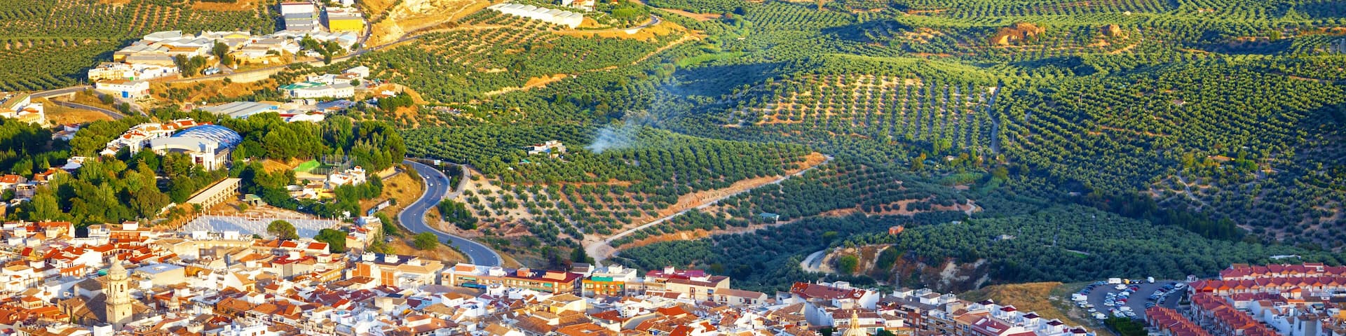 Bird view of Jaen city surrounded by olive groves. Assumption of the Virgin Cathedral is highlighted by the last rays of sunset. Andalusia, Spain.