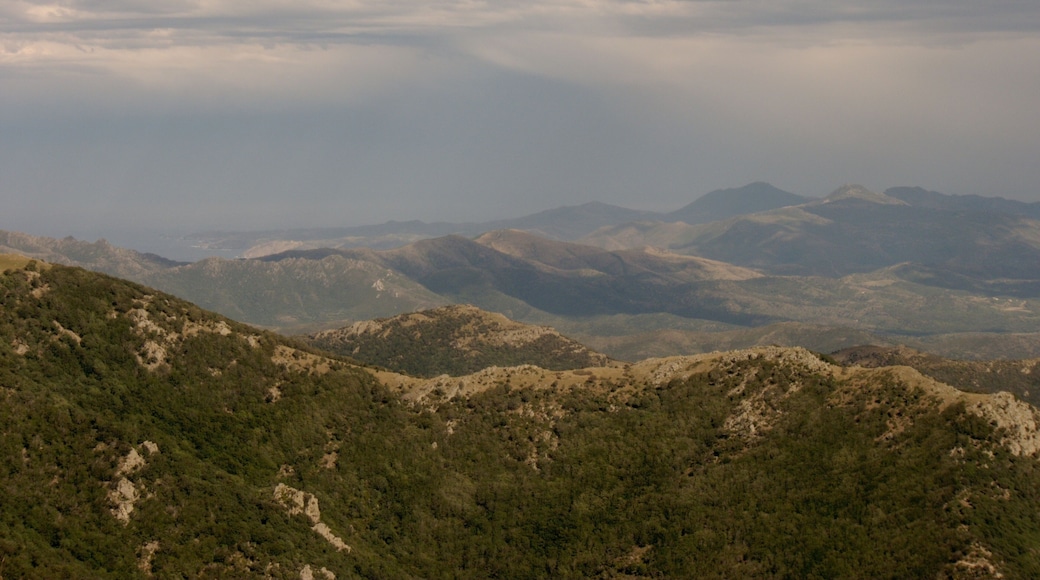 Vue de la Catalogne depuis la frontière au Col du Puits du Pic du Néoulous, Montesquieu-des-Albères (Pyrénées-Orientales, Languedoc-Roussillon, France), Laroque-des-Albères (Pyrénées-Orientales, Languedoc-Roussillon, France), la Jonquera (Haut-Ampurdan, Gérone, Catalogne, Espagne)