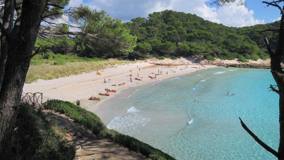 A beach with clear turquoise water, a sandy shore, and a forested hillside in the background.